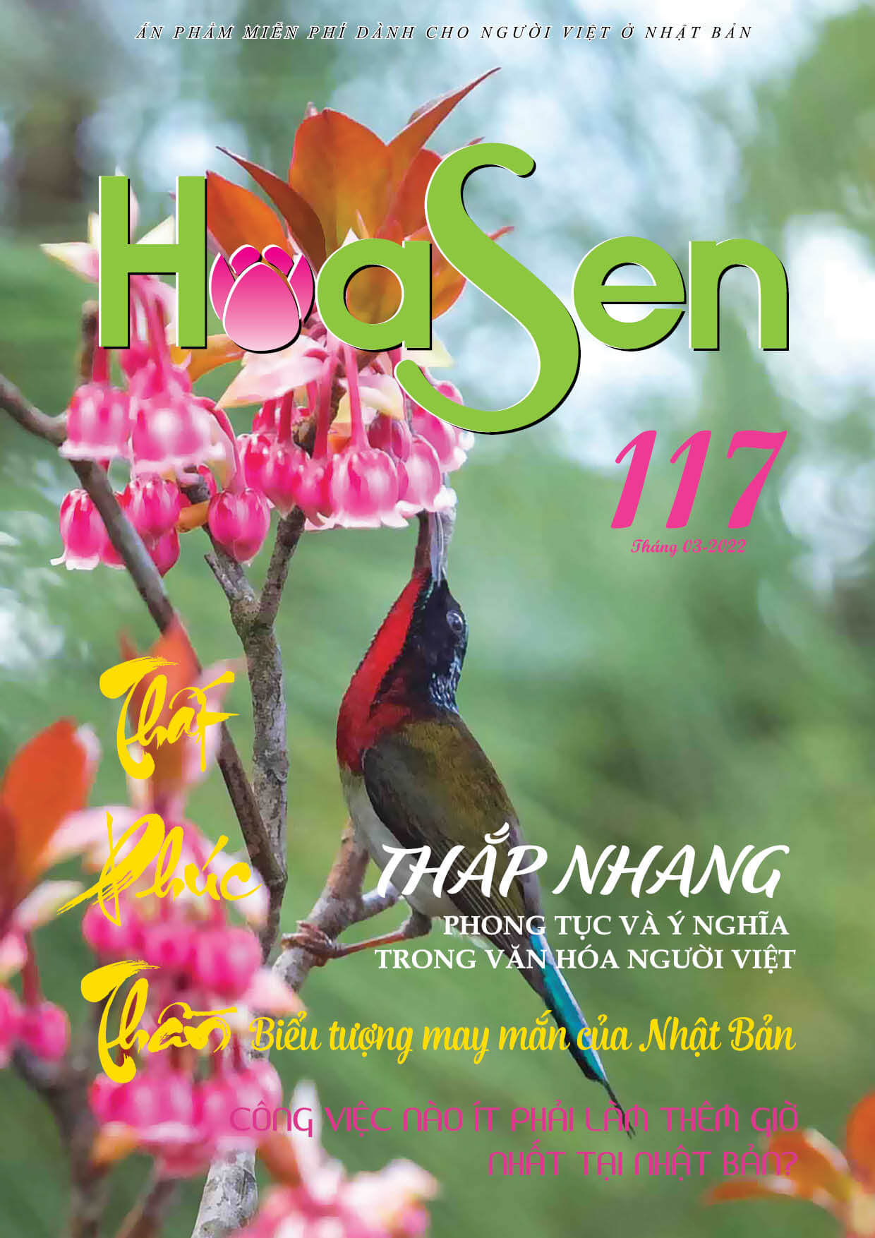 Hoa Sen 117